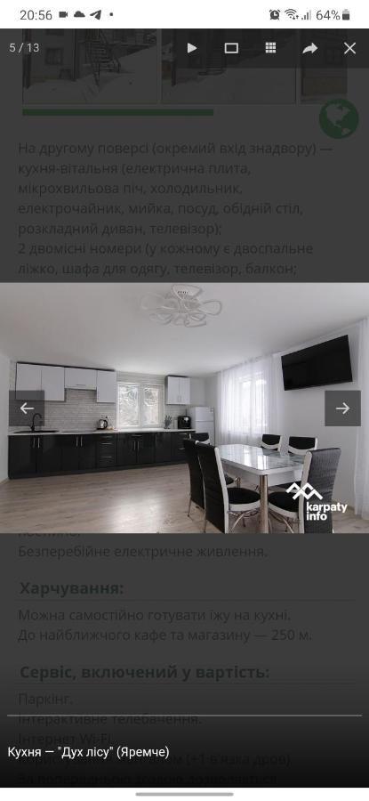 야렘체 Дух Лісу 빌라 외부 사진