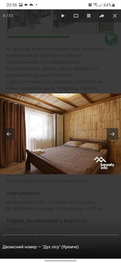야렘체 Дух Лісу 빌라 외부 사진